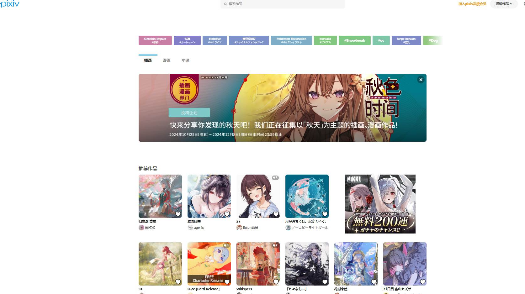 Pixiv (P站)